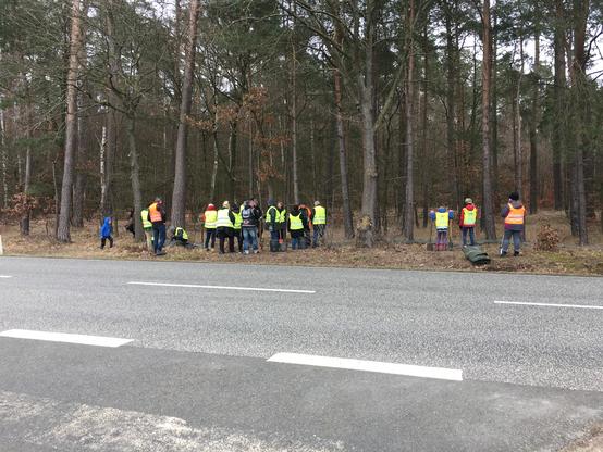 Zietlitzer Krötenprojekt