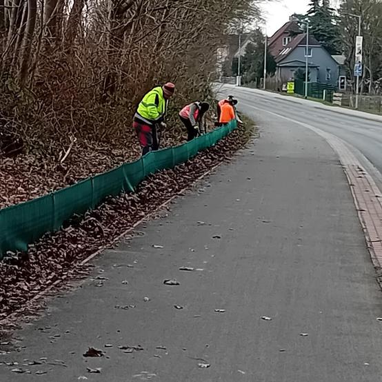 Rogahner Straße in Schwerin
